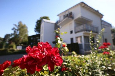 Hauptbild BLÜTE IN TRAUTHEIM ...