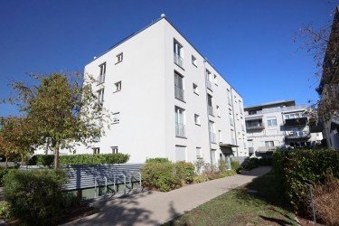 Hauptbild Neuwertiges Singleapartment in Bessungen