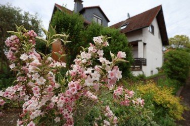 Hauptbild RESERVIERT - Souterrain in Pfungstadt